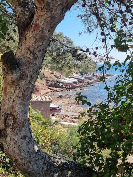 Appartement T2 A Fabregas, Proche Des Sablettes La Seyne-sur-Mer Exterior foto